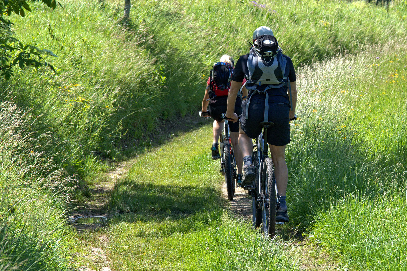 Mountainbiken in Oberwang und Umgebung